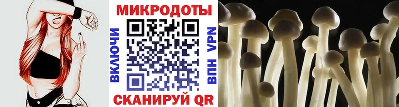 darknet какой сайт  Кропоткин  Псилоцибиновые грибы MAGIC MUSHROOMS 